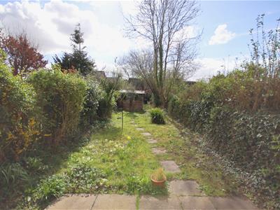 Picture 14